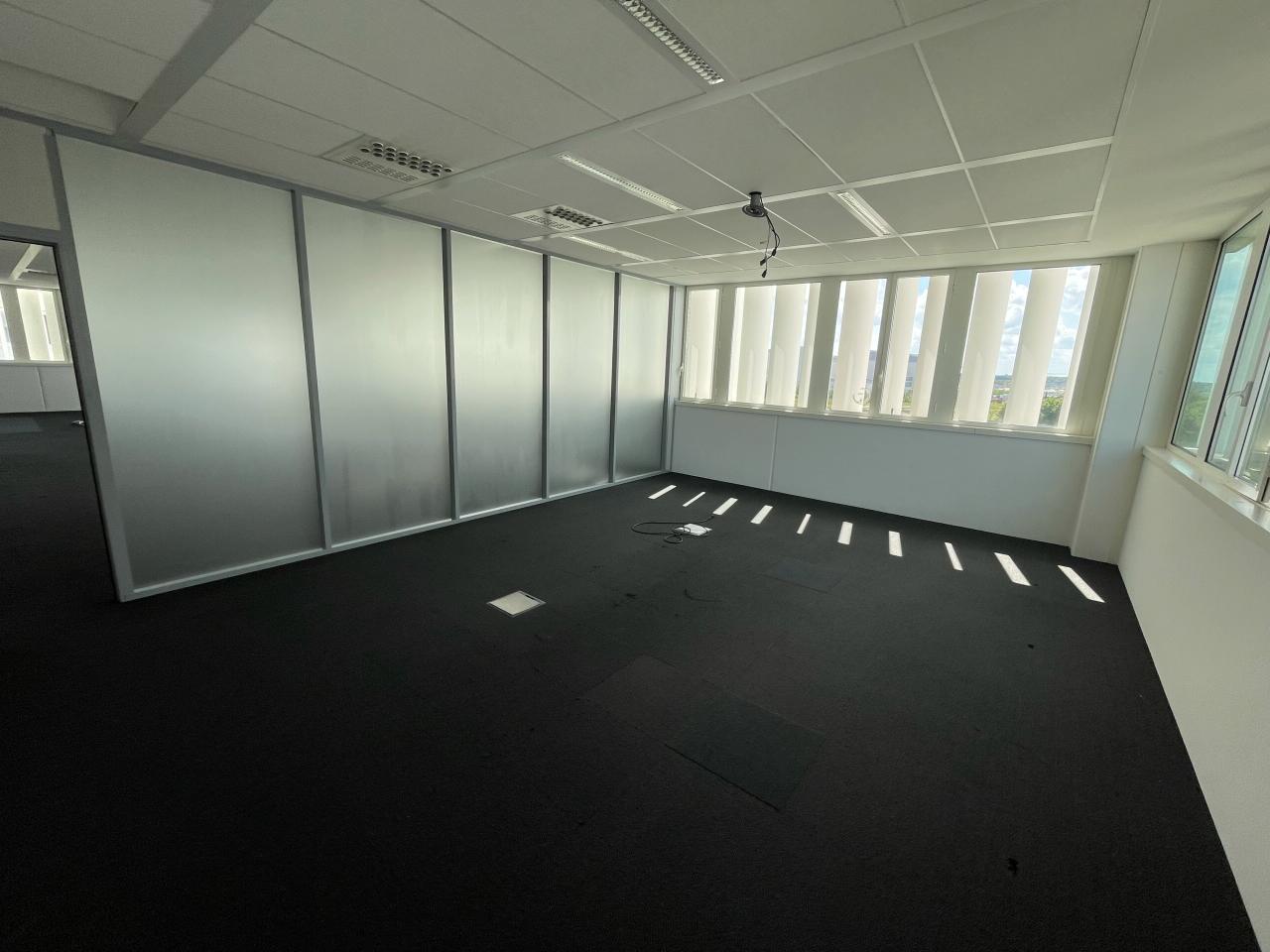 Bureau Blagnac 7981m² Location bureau Blagnac Haute-Garonne OLBUR2108339 21
